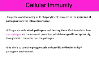 Immunity. Basic princeples of humoral and cellular immune response. | PPTX