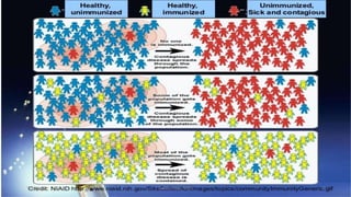 77/5/2018 Aslam Aman_MPH
 