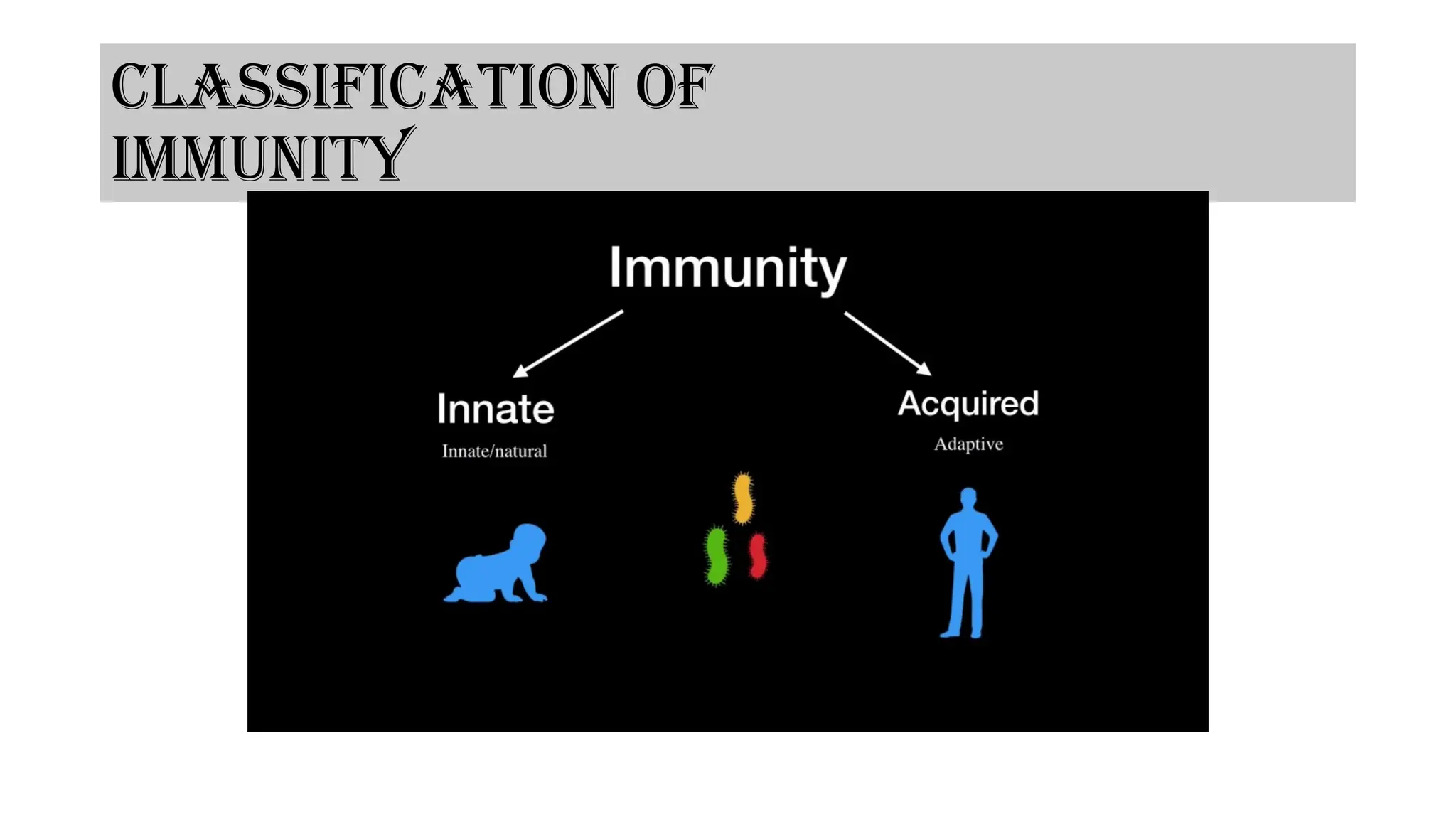 Classification of
immunity
 