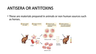 ANTISERA OR ANTITOXINS
• These are materials prepared in animals or non human sources such
as horses.
 