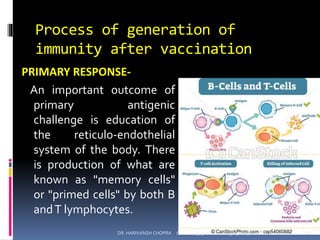 Process of generation of
immunity after vaccination
PRIMARY RESPONSE-
An important outcome of
primary antigenic
challenge is education of
the reticulo-endothelial
system of the body. There
is production of what are
known as "memory cells"
or "primed cells" by both B
andT lymphocytes.
DR. HARIVANSH CHOPRA (harichop@gmail.com) 3/19/2019 10
 