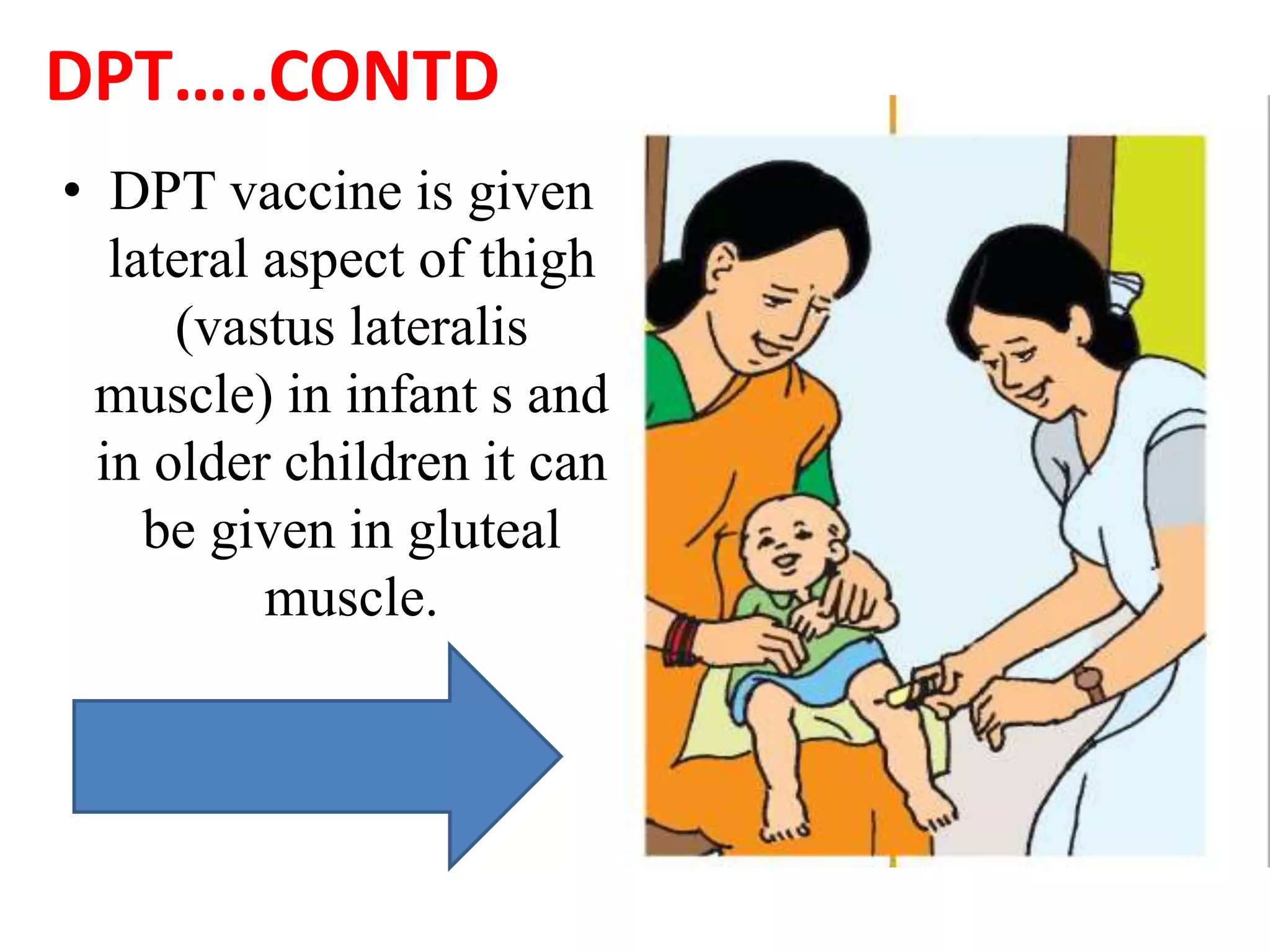 DPT…..CONTD
• DPT vaccine is given
lateral aspect of thigh
(vastus lateralis
muscle) in infant s and
in older children it can
be given in gluteal
muscle.
 