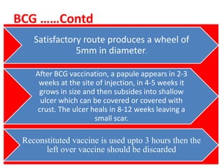 BCG ……Contd
Satisfactory route produces a wheel of
5mm in diameter.
After BCG vaccination, a papule appears in 2-3
weeks at the site of injection, in 4-5 weeks it
grows in size and then subsides into shallow
ulcer which can be covered or covered with
crust. The ulcer heals in 8-12 weeks leaving a
small scar.
Reconstituted vaccine is used upto 3 hours then the
left over vaccine should be discarded
 