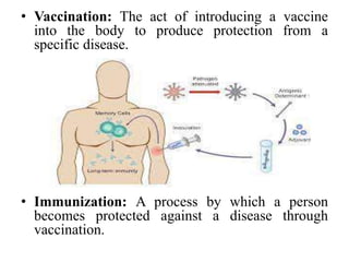 Immunization (1).pptx