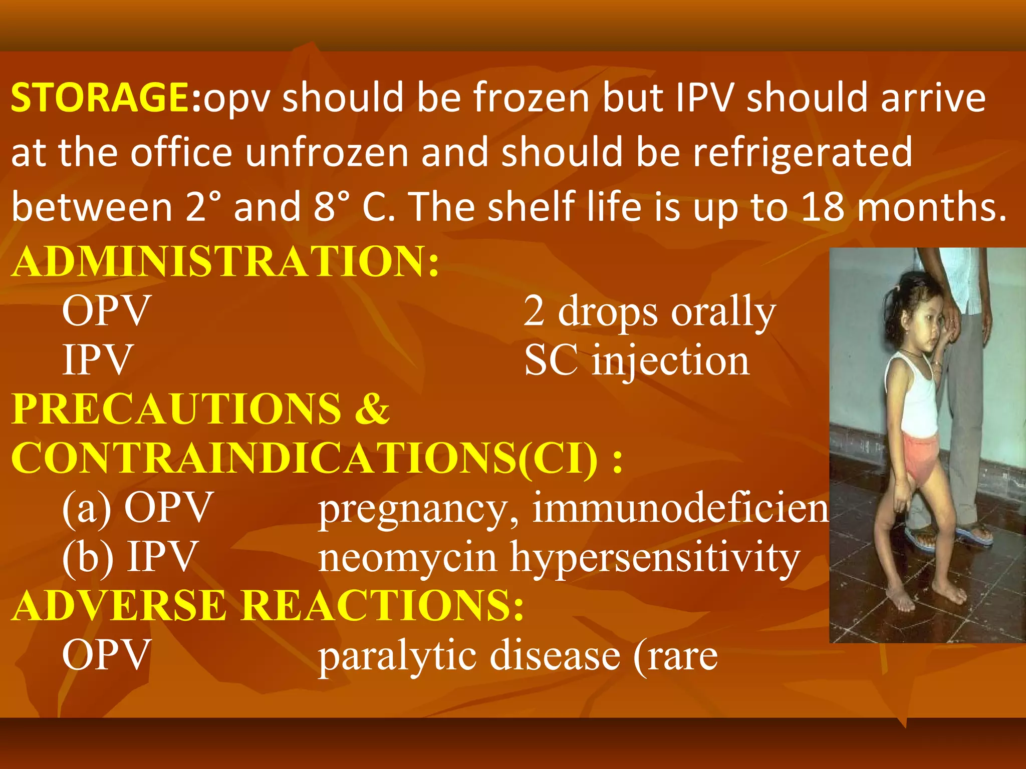 STORAGE:opv should be frozen but IPV should arrive
at the office unfrozen and should be refrigerated
between 2° and 8° C. The shelf life is up to 18 months.
ADMINISTRATION:
   OPV                        2 drops orally
   IPV                        SC injection
PRECAUTIONS &
CONTRAINDICATIONS(CI) :
   (a) OPV        pregnancy, immunodeficiency
   (b) IPV        neomycin hypersensitivity
ADVERSE REACTIONS:
   OPV            paralytic disease (rare
 