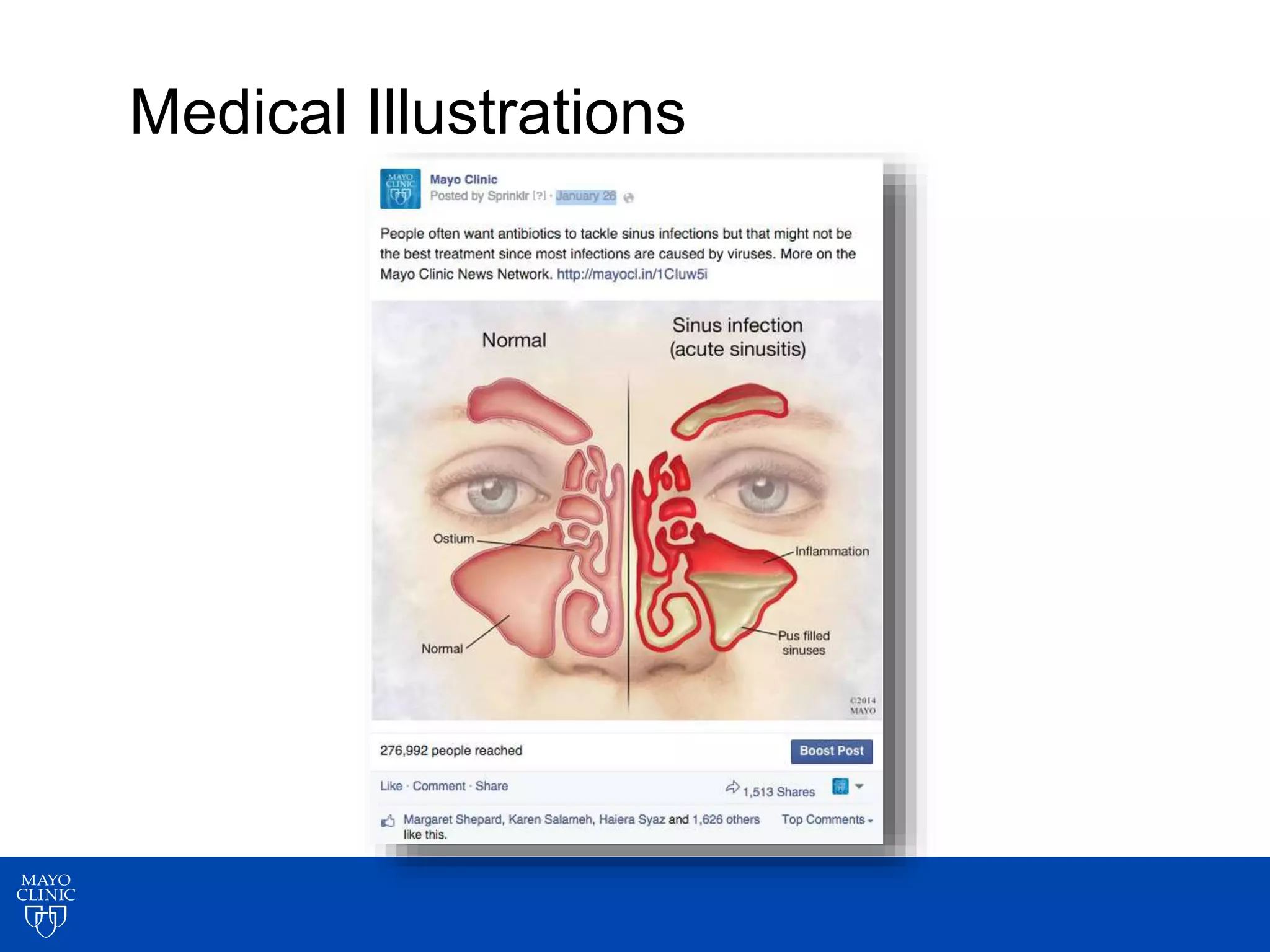 Medical Illustrations
 