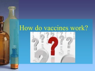 How do vaccines work?
 