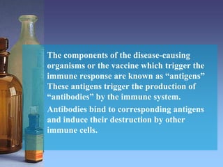 The components of the disease-causing
organisms or the vaccine which trigger the
immune response are known as “antigens”
These antigens trigger the production of
“antibodies” by the immune system.
Antibodies bind to corresponding antigens
and induce their destruction by other
immune cells.
 