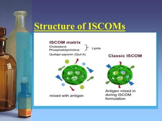 Structure of ISCOMs
 