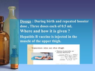 Dosage : During birth and repeated booster
dose , Three doses each of 0.5 ml.
Where and how it is given ?
Hepatitis B vaccine is injected in the
muscle of the upper thigh.
 