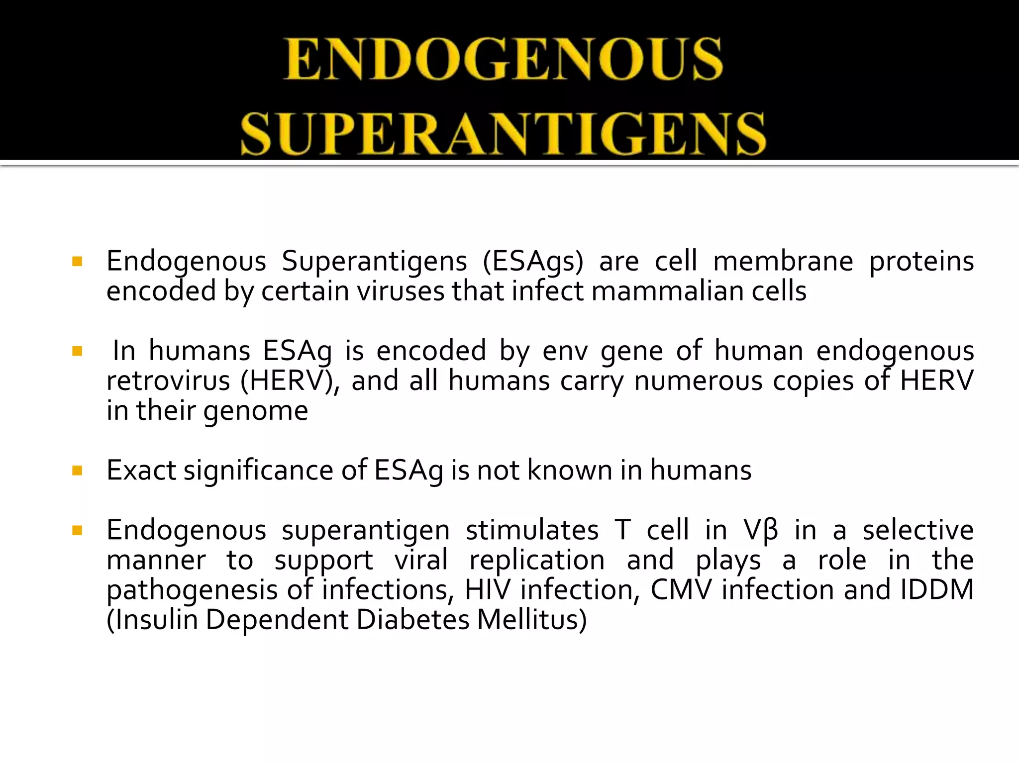  Endogenous Superantigens (ESAgs) are cell membrane proteins
encoded by certain viruses that infect mammalian cells
 In humans ESAg is encoded by env gene of human endogenous
retrovirus (HERV), and all humans carry numerous copies of HERV
in their genome
 Exact significance of ESAg is not known in humans
 Endogenous superantigen stimulates T cell in Vβ in a selective
manner to support viral replication and plays a role in the
pathogenesis of infections, HIV infection, CMV infection and IDDM
(Insulin Dependent Diabetes Mellitus)
 