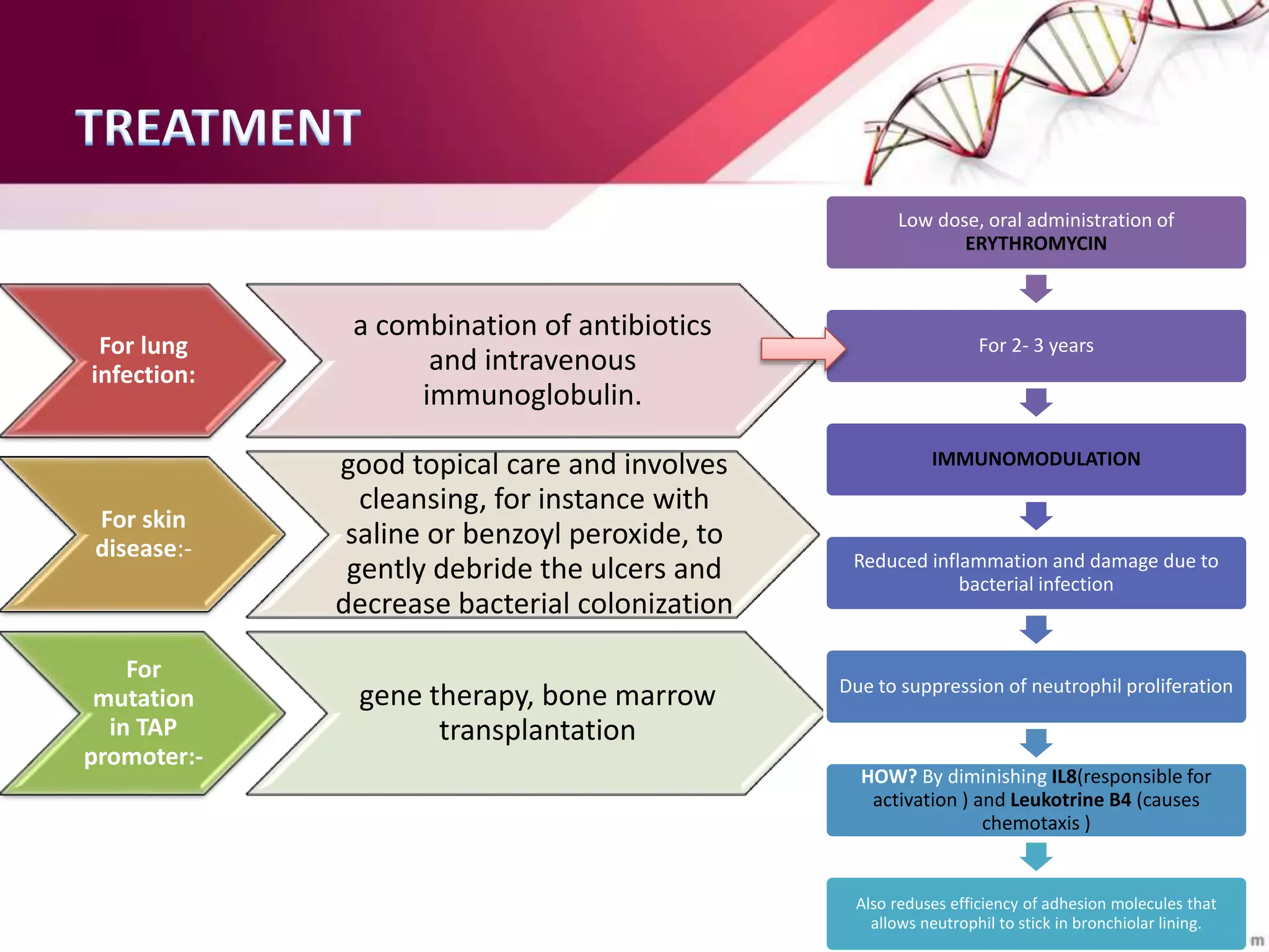 For lung
infection:
a combination of antibiotics
and intravenous
immunoglobulin.
For skin
disease:-
good topical care and involves
cleansing, for instance with
saline or benzoyl peroxide, to
gently debride the ulcers and
decrease bacterial colonization
For
mutation
in TAP
promoter:-
gene therapy, bone marrow
transplantation
Low dose, oral administration of
ERYTHROMYCIN
For 2- 3 years
IMMUNOMODULATION
Reduced inflammation and damage due to
bacterial infection
Due to suppression of neutrophil proliferation
HOW? By diminishing IL8(responsible for
activation ) and Leukotrine B4 (causes
chemotaxis )
Also reduses efficiency of adhesion molecules that
allows neutrophil to stick in bronchiolar lining.
 