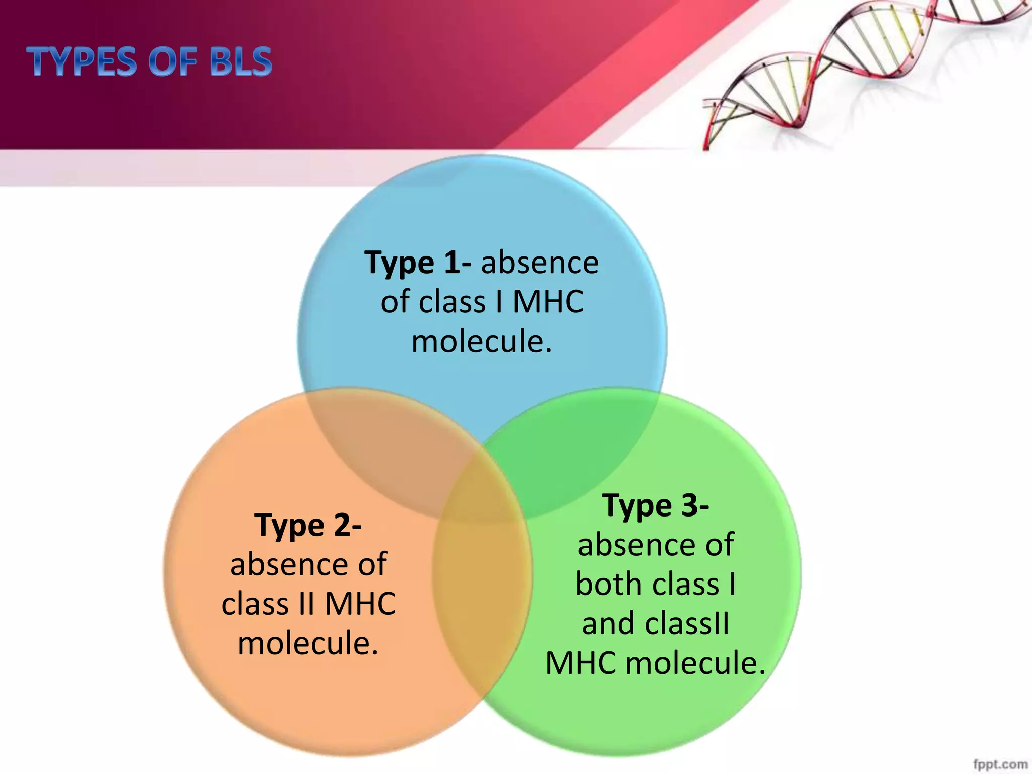 Type 1- absence
of class I MHC
molecule.
Type 3-
absence of
both class I
and classII
MHC molecule.
Type 2-
absence of
class II MHC
molecule.
 