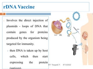 rDNA Vaccine
o Involves the direct injection of
plasmids - loops of DNA that
contain genes for proteins
produced by the organism being
targeted for immunity.
 then DNA is taken up by host
cells, which then start
expressing the protein
8/13/2022
30
BY: Tsegaab Y.
 