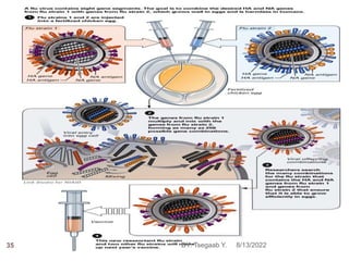 8/13/2022
35 BY: Tsegaab Y.
 