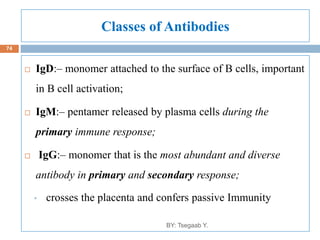 Classes of Antibodies
 IgD:– monomer attached to the surface of B cells, important
in B cell activation;
 IgM:– pentamer released by plasma cells during the
primary immune response;
 IgG:– monomer that is the most abundant and diverse
antibody in primary and secondary response;
• crosses the placenta and confers passive Immunity
8/13/2022
74
BY: Tsegaab Y.
 