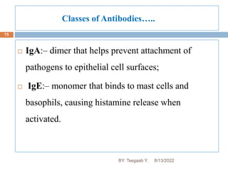 Classes of Antibodies…..
75
 IgA:– dimer that helps prevent attachment of
pathogens to epithelial cell surfaces;
 IgE:– monomer that binds to mast cells and
basophils, causing histamine release when
activated.
8/13/2022
BY: Tsegaab Y.
 