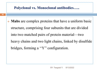 Polyclonal vs. Monoclonal antibodies…..
82
 Mabs are complex proteins that have a uniform basic
structure, comprising four subunits that are divided
into two matched pairs of protein material—two
heavy chains and two light chains, linked by disulfide
bridges, forming a ‘‘Y’’ configuration.
8/13/2022
BY: Tsegaab Y.
 