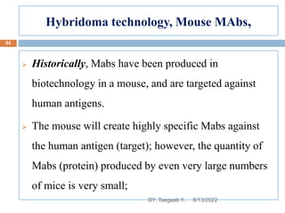 Hybridoma technology, Mouse MAbs,
 Historically, Mabs have been produced in
biotechnology in a mouse, and are targeted against
human antigens.
 The mouse will create highly specific Mabs against
the human antigen (target); however, the quantity of
Mabs (protein) produced by even very large numbers
of mice is very small;
8/13/2022
84
BY: Tsegaab Y.
 