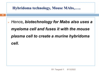 Hybridoma technology, Mouse MAbs,…..
85
 Hence, biotechnology for Mabs also uses a
myeloma cell and fuses it with the mouse
plasma cell to create a murine hybridoma
cell.
8/13/2022
BY: Tsegaab Y.
 
