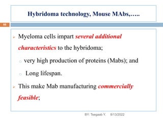 Hybridoma technology, Mouse MAbs,…..
 Myeloma cells impart several additional
characteristics to the hybridoma;
o very high production of proteins (Mabs); and
o Long lifespan.
 This make Mab manufacturing commercially
feasible;
8/13/2022
86
BY: Tsegaab Y.
 