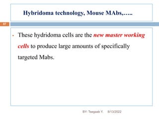 Hybridoma technology, Mouse MAbs,…..
87
 These hydridoma cells are the new master working
cells to produce large amounts of specifically
targeted Mabs.
8/13/2022
BY: Tsegaab Y.
 