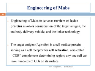 Engineering of Mabs
o Engineering of Mabs to serve as carriers or fusion
proteins involves consideration of the target antigen, the
antibody-delivery vehicle, and the linker technology.
o The target antigen (Ag) often is a cell surface protein
serving as a cell receptor for cell activation, also called
‘‘CDR’’ complement determining region; any one cell can
have hundreds of CDs on its surface.
8/13/2022
95
BY: Tsegaab Y.
 