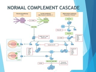 NORMAL COMPLEMENT CASCADE
 