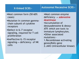 X-linked SCID:- Autosomal Recessive SCID:-
Most common form (50-60%
cases)
Mutation in common gamma-
chain subunit of cytokine
receptors
Defect in IL-7 receptor
signaling, required for T cell
proliferation
Ineffective IL-15 receptor
signaling→ deficiency of NK
cells
Most common enzyme
deficiency → adenosine
deaminase
Accumulation of
deoxyadenosine & deoxy-
ATP, which are toxic to
immature lymphocytes.
Other associated
mutations:-
1.Recombinase activating
genes(RAG) gene
2.JAK3 (intracellular kinase)
 