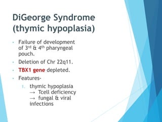 DiGeorge Syndrome
(thymic hypoplasia)
• Failure of development
of 3rd & 4th pharyngeal
pouch.
• Deletion of Chr 22q11.
• TBX1 gene depleted.
• Features-
1. thymic hypoplasia
→ Tcell deficiency
→ fungal & viral
infections
 