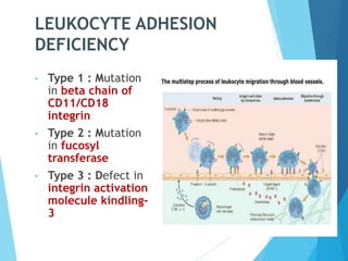 LEUKOCYTE ADHESION
DEFICIENCY
• Type 1 : Mutation
in beta chain of
CD11/CD18
integrin
• Type 2 : Mutation
in fucosyl
transferase
• Type 3 : Defect in
integrin activation
molecule kindling-
3
 