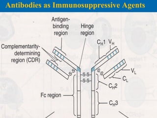 Antibodies as Immunosuppressive Agents
 