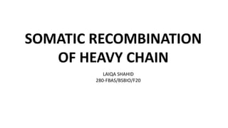 SOMATIC RECOMBINATION
OF HEAVY CHAIN
LAIQA SHAHID
280-FBAS/BSBIO/F20
 