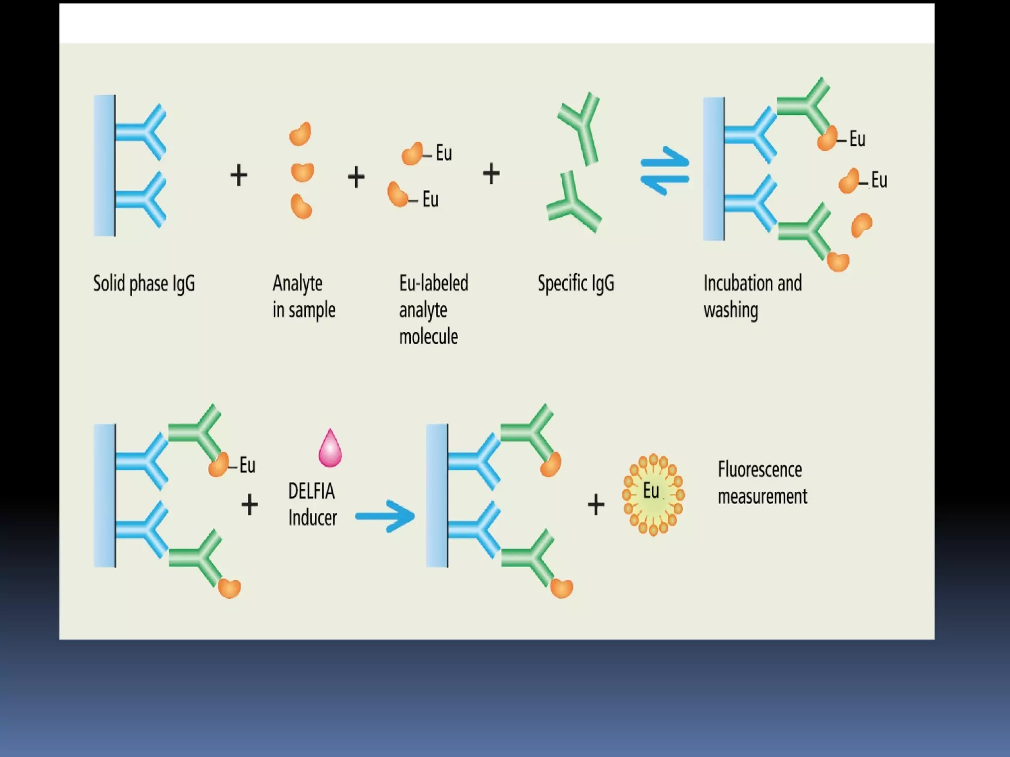 Assignment on General principles of Immunoassay | PDF | Infectious ...