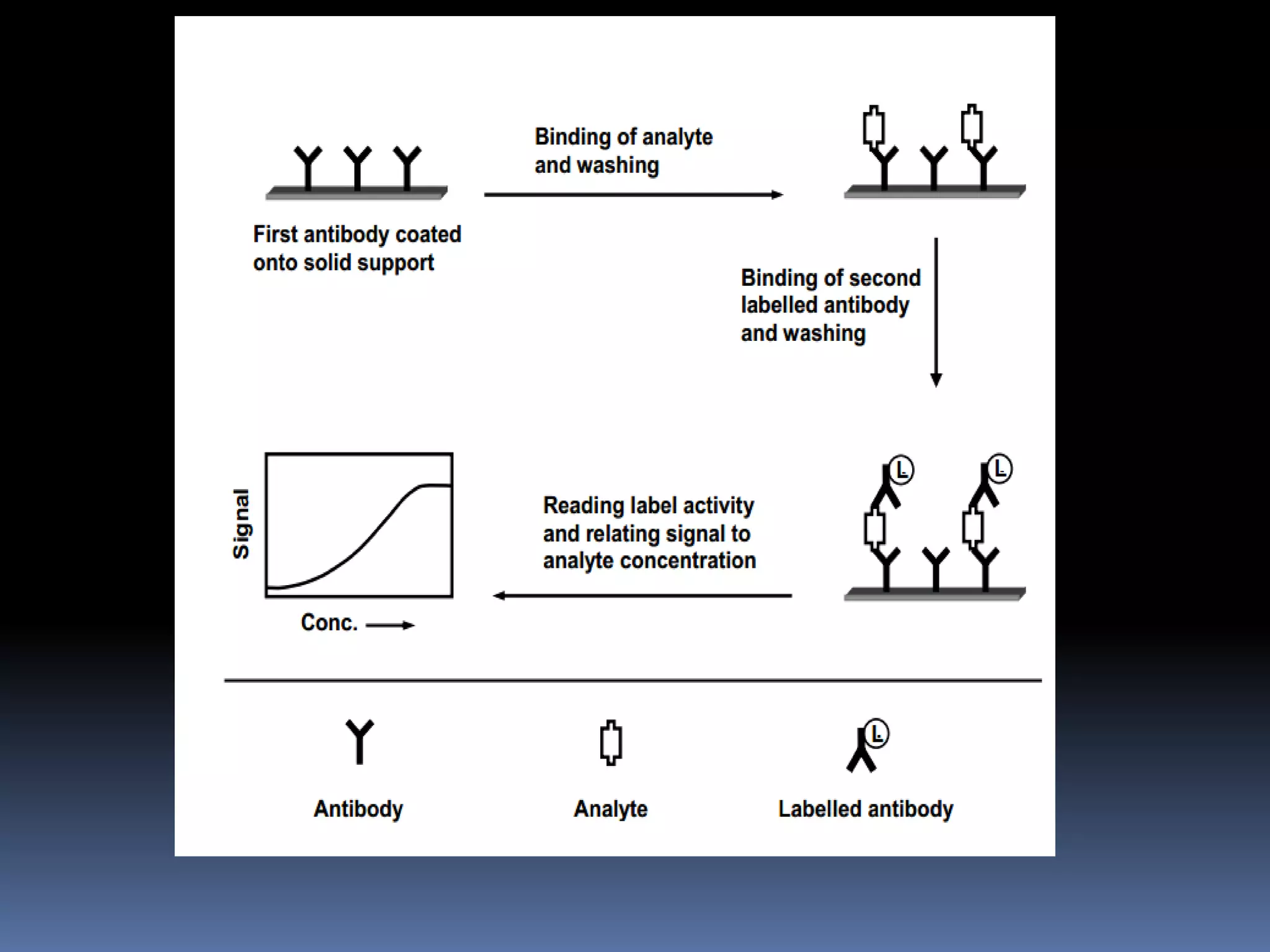 Assignment on General principles of Immunoassay | PDF | Infectious ...
