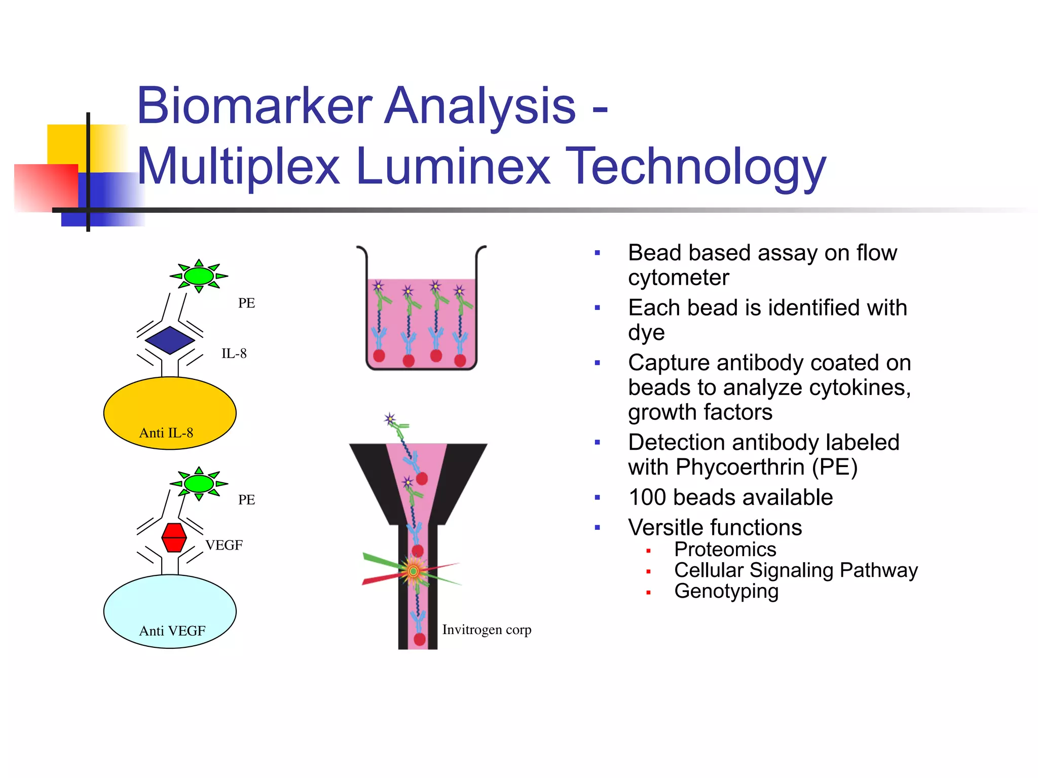 Biomarker Analysis -
 
Multiplex Luminex Technology
■ Bead based assay on flow
cytometer


■ Each bead is identified with
dye


■ Capture antibody coated on
beads to analyze cytokines,
growth factors


■ Detection antibody labeled
with Phycoerthrin (PE)


■ 100 beads available


■ Versitle functions


■ Proteomics


■ Cellular Signaling Pathway


■ Genotyping
Invitrogen corp
PE
Anti IL-8
IL-8
VEGF
PE
Anti VEGF
 