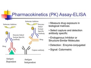 Immunoassay Development