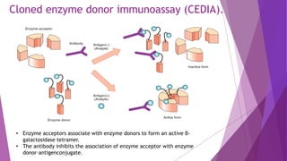 Cloned enzyme donor immunoassay (CEDIA).
• Enzyme acceptors associate with enzyme donors to form an active β-
galactosidase tetramer.
• The antibody inhibits the association of enzyme acceptor with enzyme
donor–antigenconjugate.
 