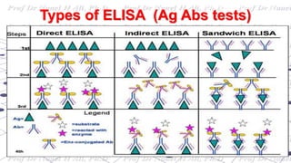 Labeling technique
Types of ELISA (Ag Abs tests)
 