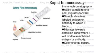 Immunochromatography
Apply sample to one
end, migrates forward.
Sample dissolves
labeled antigen or
antibody to which it
binds.
Migrates towards
detection zone where it
will bind to immobilized
antigen or antibody.
Color change occurs.
Rapid Immunoassays
 