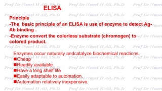 ELISA
Principle
-The basic principle of an ELISA is use of enzyme to detect Ag-
Ab binding .
-Enzyme convert the colorless substrate (chromogen) to
colored product.
Enzymes occur naturally andcatalyze biochemical reactions.
Cheap
Readily available
Have a long shelf life
Easily adaptable to automation.
Automation relatively inexpensive.
 