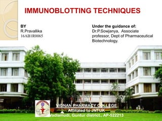 IMMUNOBLOTTING TECHNIQUES
BY
R.Pravallika
16AB1R0065
Under the guidance of:
Dr.P.Sowjanya, Associate
professor, Dept of Pharmaceutical
Biotechnology.
VIGNAN PHARMACY COLLEGE
Affiliated to JNTUK
Vadlamudi, Guntur district., AP-522213 1
 