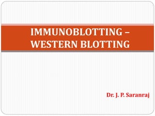 Dr. J. P. Saranraj
IMMUNOBLOTTING –
WESTERN BLOTTING
 