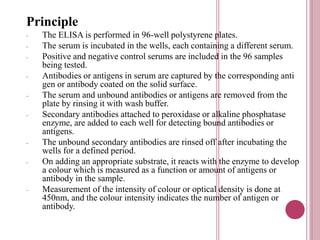 Principle
- The ELISA is performed in 96-well polystyrene plates.
- The serum is incubated in the wells, each containing a different serum.
- Positive and negative control serums are included in the 96 samples
being tested.
- Antibodies or antigens in serum are captured by the corresponding anti
gen or antibody coated on the solid surface.
- The serum and unbound antibodies or antigens are removed from the
plate by rinsing it with wash buffer.
- Secondary antibodies attached to peroxidase or alkaline phosphatase
enzyme, are added to each well for detecting bound antibodies or
antigens.
- The unbound secondary antibodies are rinsed off after incubating the
wells for a defined period.
- On adding an appropriate substrate, it reacts with the enzyme to develop
a colour which is measured as a function or amount of antigens or
antibody in the sample.
- Measurement of the intensity of colour or optical density is done at
450nm, and the colour intensity indicates the number of antigen or
antibody.
 