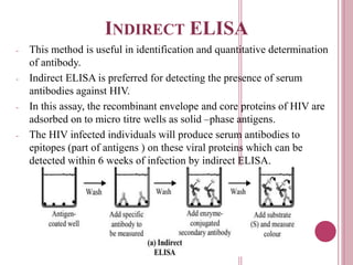 INDIRECT ELISA
- This method is useful in identification and quantitative determination
of antibody.
- Indirect ELISA is preferred for detecting the presence of serum
antibodies against HIV.
- In this assay, the recombinant envelope and core proteins of HIV are
adsorbed on to micro titre wells as solid –phase antigens.
- The HIV infected individuals will produce serum antibodies to
epitopes (part of antigens ) on these viral proteins which can be
detected within 6 weeks of infection by indirect ELISA.
 
