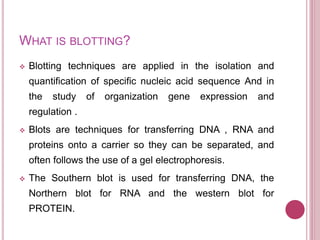 WHAT IS BLOTTING?
 Blotting techniques are applied in the isolation and
quantification of specific nucleic acid sequence And in
the study of organization gene expression and
regulation .
 Blots are techniques for transferring DNA , RNA and
proteins onto a carrier so they can be separated, and
often follows the use of a gel electrophoresis.
 The Southern blot is used for transferring DNA, the
Northern blot for RNA and the western blot for
PROTEIN.
 