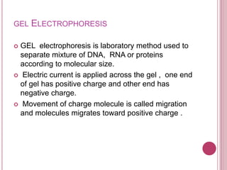 GEL ELECTROPHORESIS
 GEL electrophoresis is laboratory method used to
separate mixture of DNA, RNA or proteins
according to molecular size.
 Electric current is applied across the gel , one end
of gel has positive charge and other end has
negative charge.
 Movement of charge molecule is called migration
and molecules migrates toward positive charge .
 