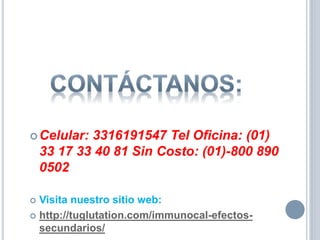 Celular: 3316191547 Tel Oficina: (01)
33 17 33 40 81 Sin Costo: (01)-800 890
0502
 Visita nuestro sitio web:
 http://tuglutation.com/immunocal-efectos-
secundarios/
 