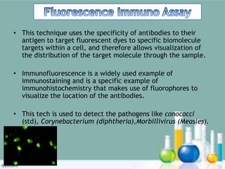 • This technique uses the specificity of antibodies to their
antigen to target fluorescent dyes to specific biomolecule
targets within a cell, and therefore allows visualization of
the distribution of the target molecule through the sample.
• Immunofluorescence is a widely used example of
immunostaining and is a specific example of
immunohistochemistry that makes use of fluorophores to
visualize the location of the antibodies.
• This tech is used to detect the pathogens like conococci
(std), Corynebacterium (diphtheria),Morbillivirus (Measles).
 