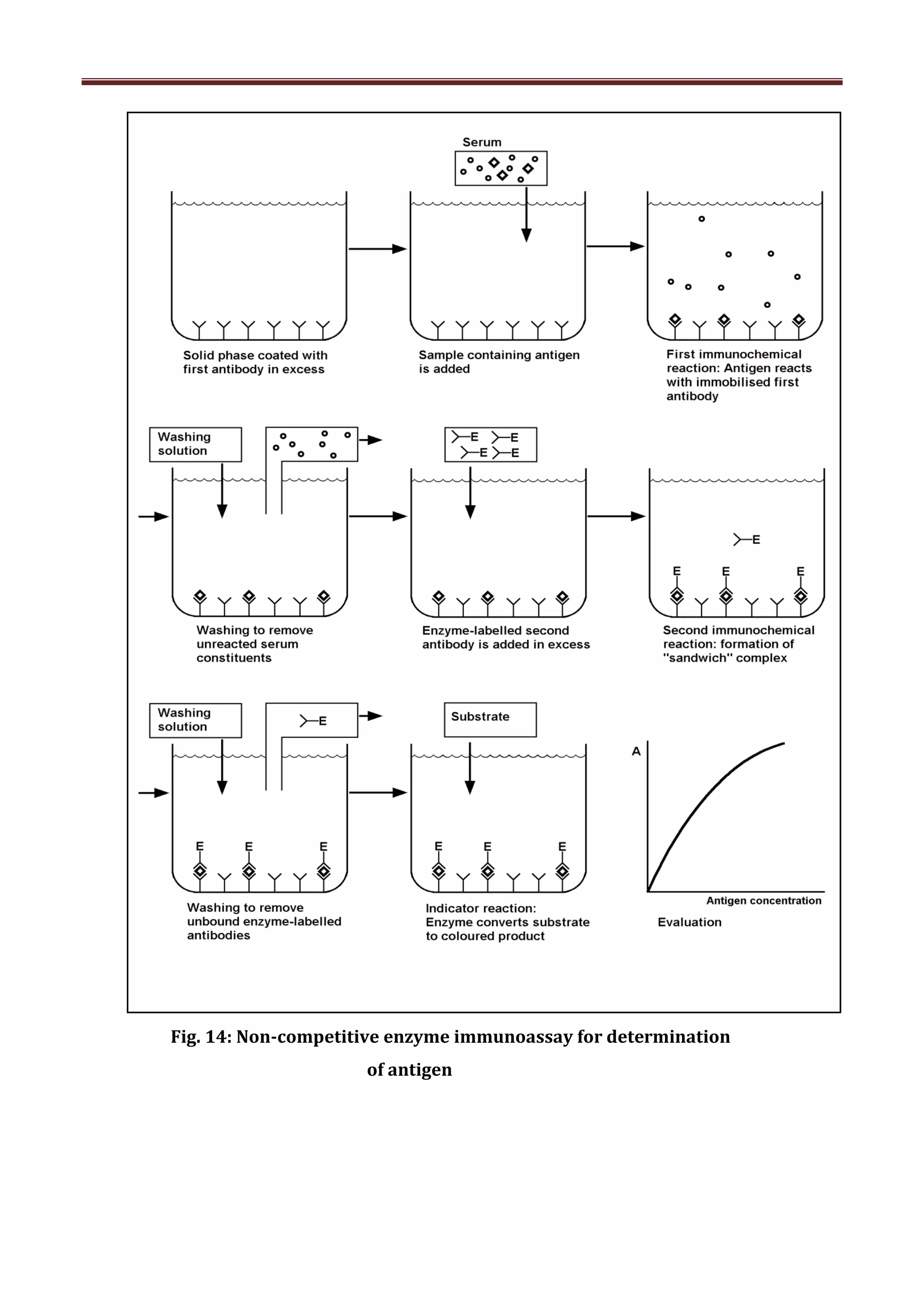 洋書 Immunochemical Methods in Cell and 洋書 Immunochemical Methods in Cell and 洋書 Immunochemical